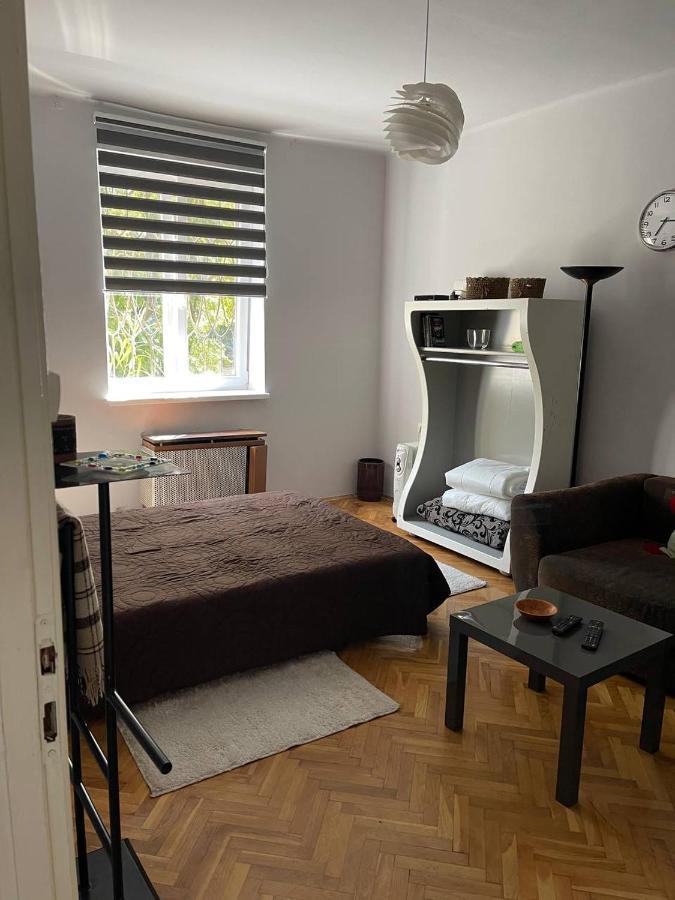 Apartment Downtown Near Center & Plaza *